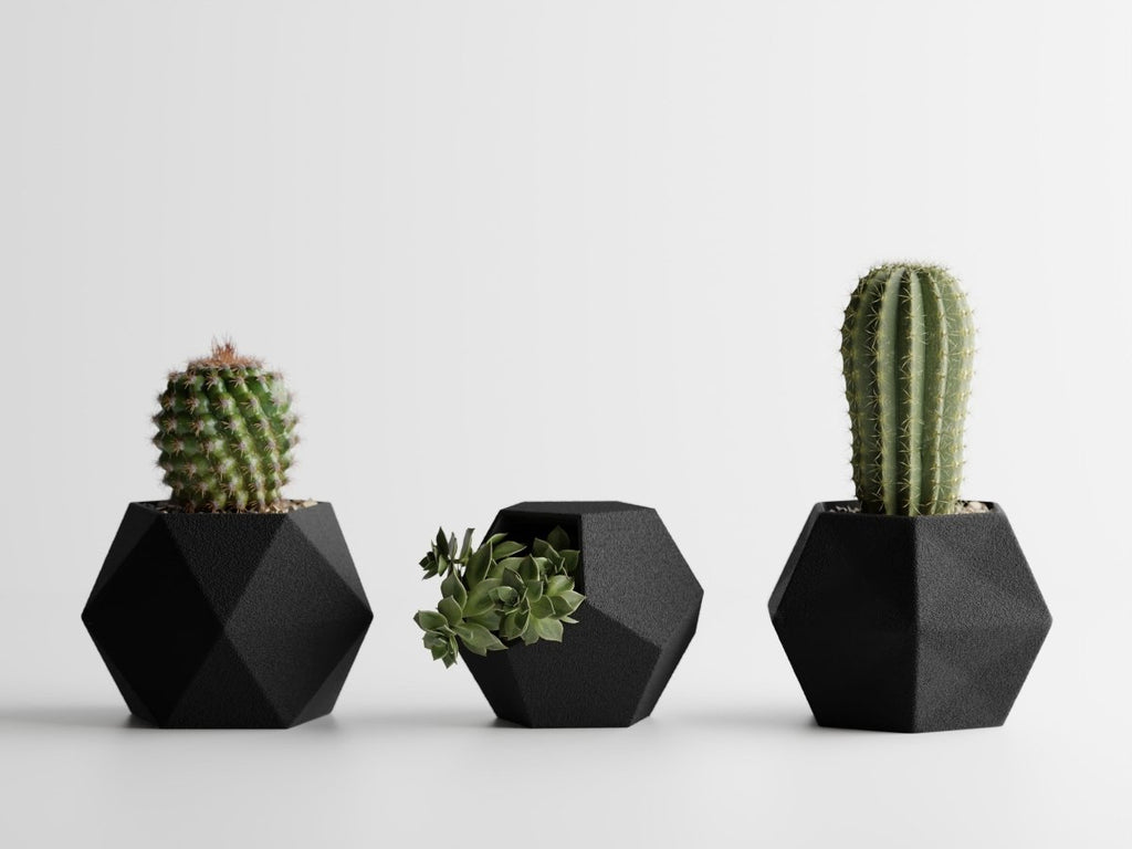 Geotrio – Geometrische Pflanzgefäße für Sukkulenten & Kakteen im 3er-Set