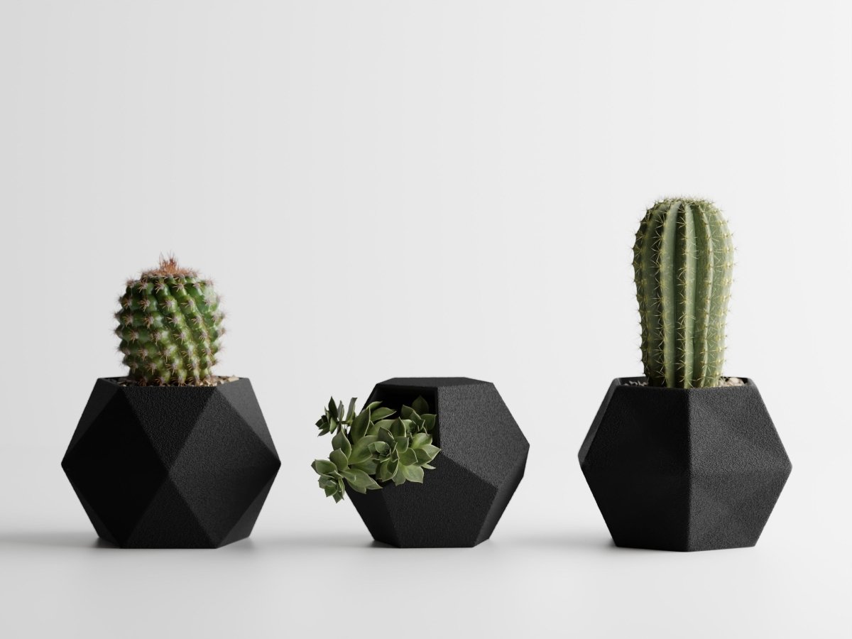 Geotrio – Geometrische Pflanzgefäße für Sukkulenten & Kakteen im 3er-Set
