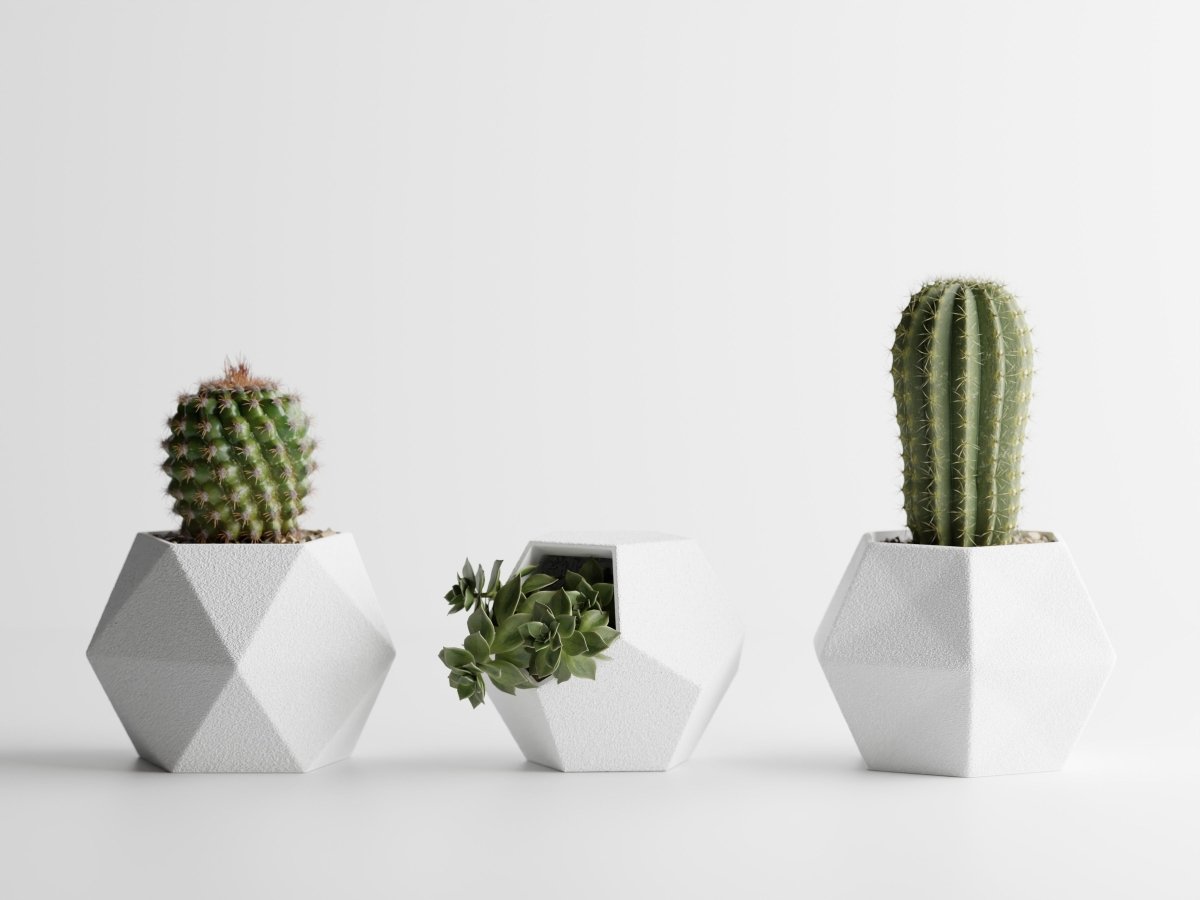 Geotrio – Geometrische Pflanzgefäße für Sukkulenten & Kakteen im 3er-Set