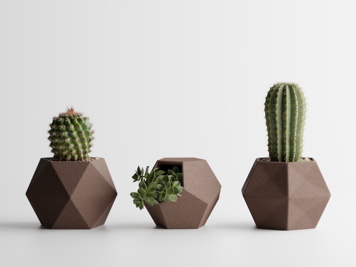 Geotrio – Geometrische Pflanzgefäße für Sukkulenten & Kakteen im 3er-Set