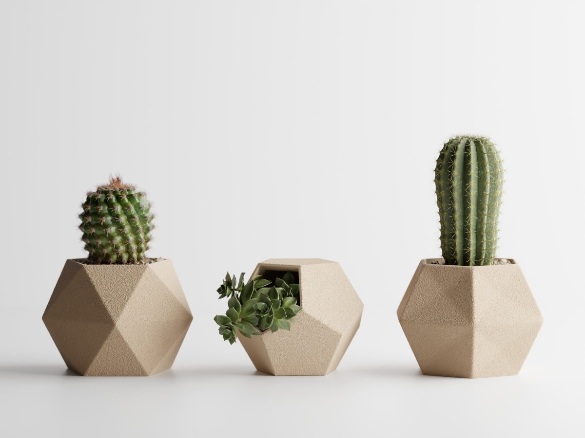 Geotrio – Geometrische Pflanzgefäße für Sukkulenten & Kakteen im 3er-Set