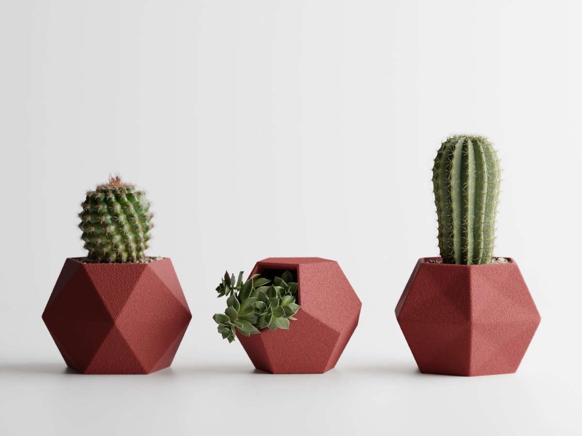 Geotrio – Geometrische Pflanzgefäße für Sukkulenten & Kakteen im 3er-Set