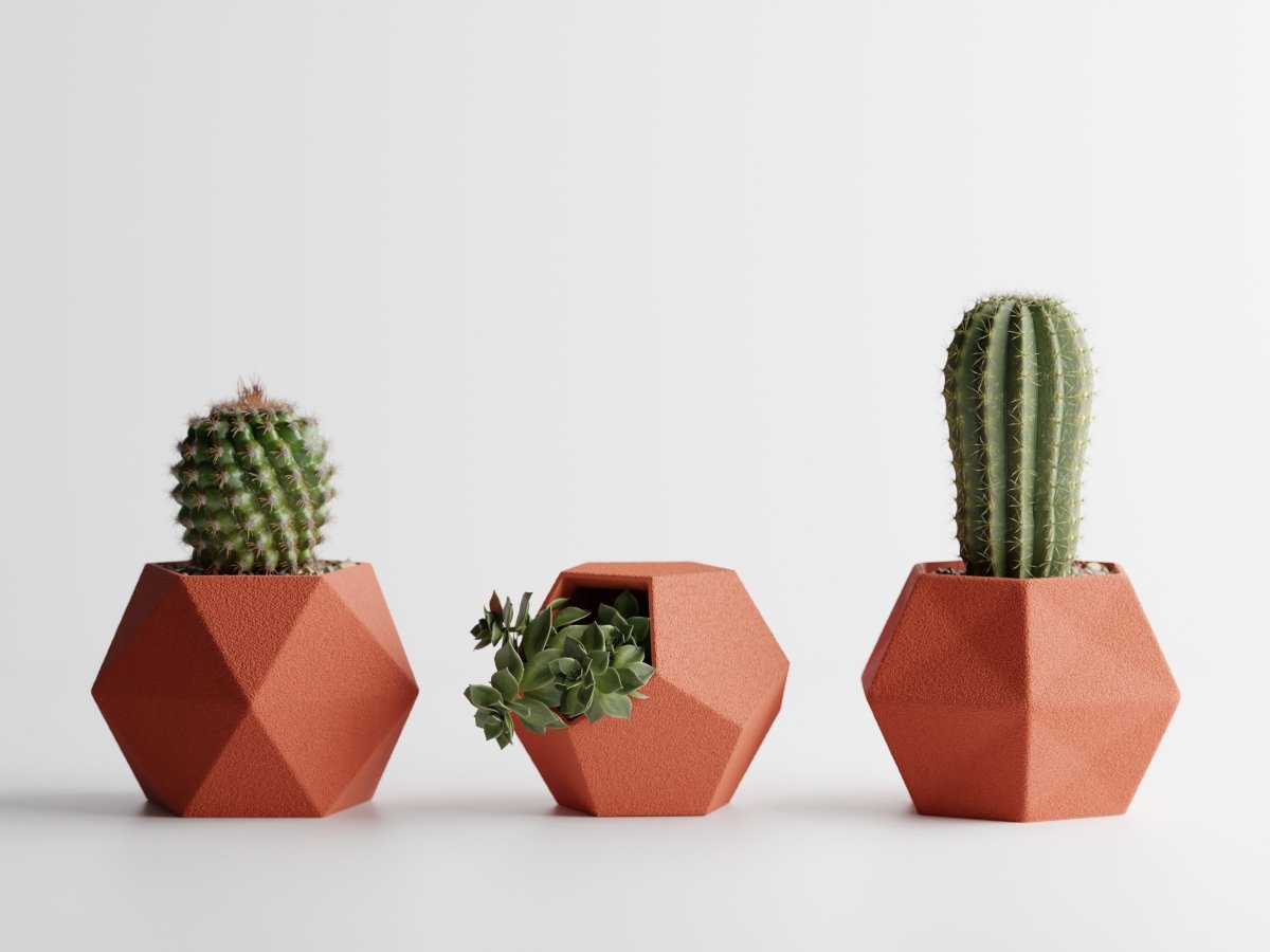 Geotrio – Geometrische Pflanzgefäße für Sukkulenten & Kakteen im 3er-Set