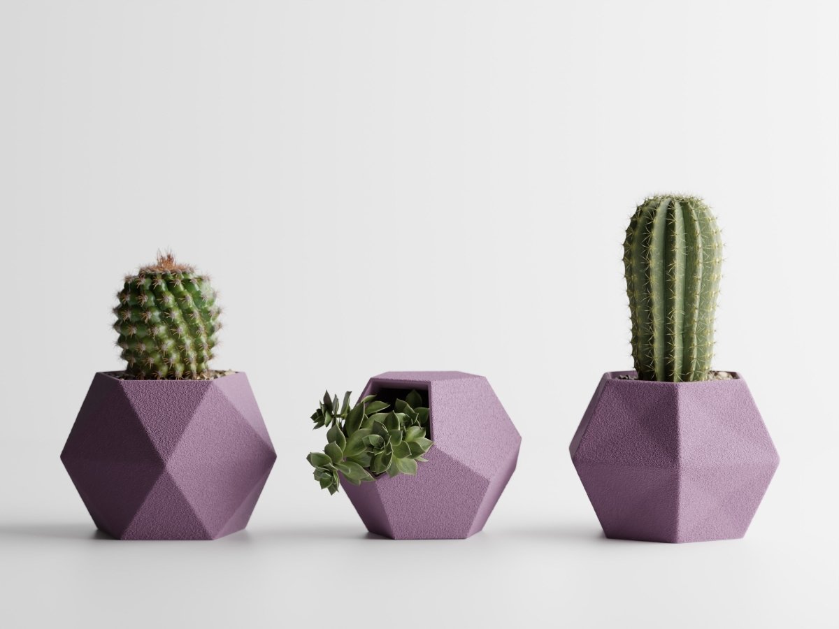 Geotrio – Geometrische Pflanzgefäße für Sukkulenten & Kakteen im 3er-Set