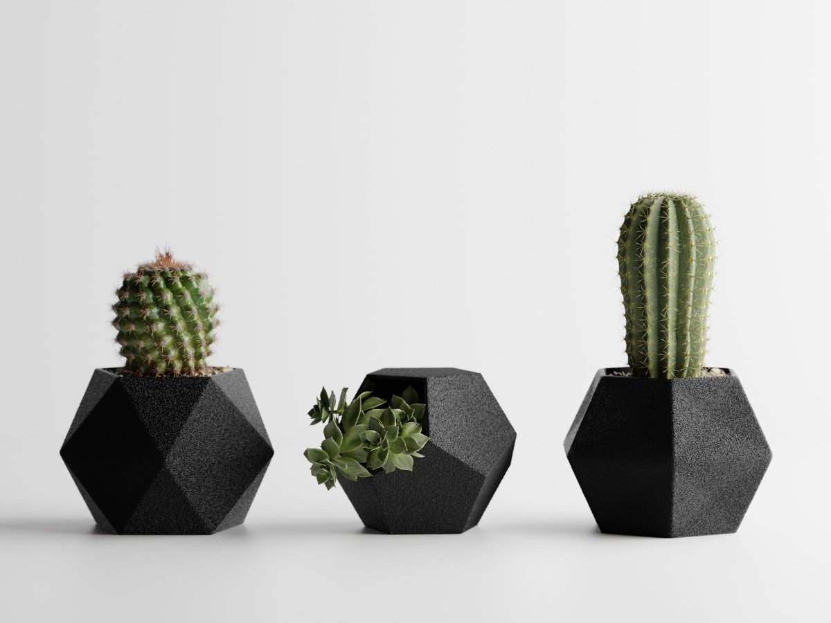 Geotrio – Geometrische Pflanzgefäße für Sukkulenten & Kakteen im 3er-Set