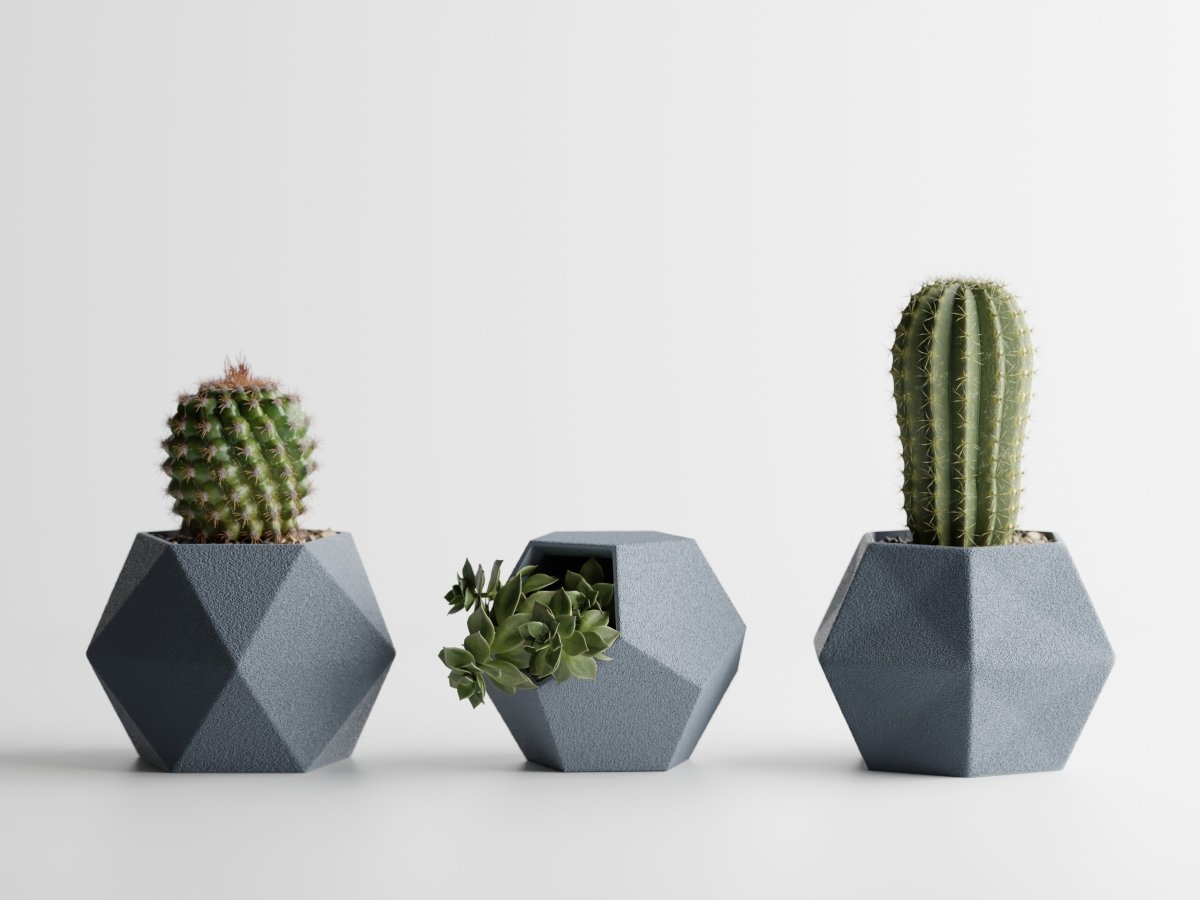 Geotrio – Geometrische Pflanzgefäße für Sukkulenten & Kakteen im 3er-Set