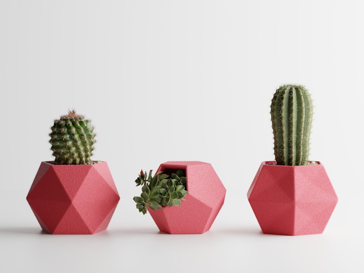 Geotrio – Geometrische Pflanzgefäße für Sukkulenten & Kakteen im 3er-Set