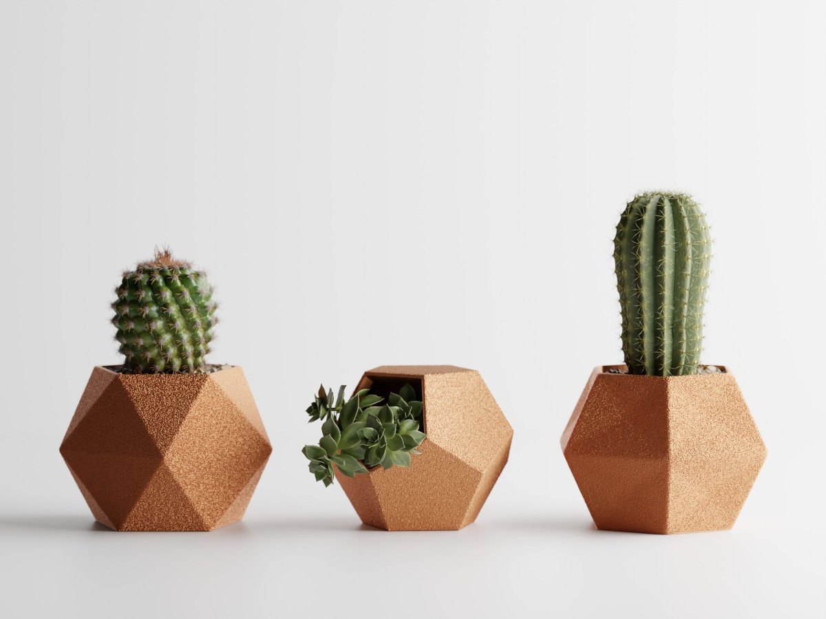 Geotrio – Geometrische Pflanzgefäße für Sukkulenten & Kakteen im 3er-Set