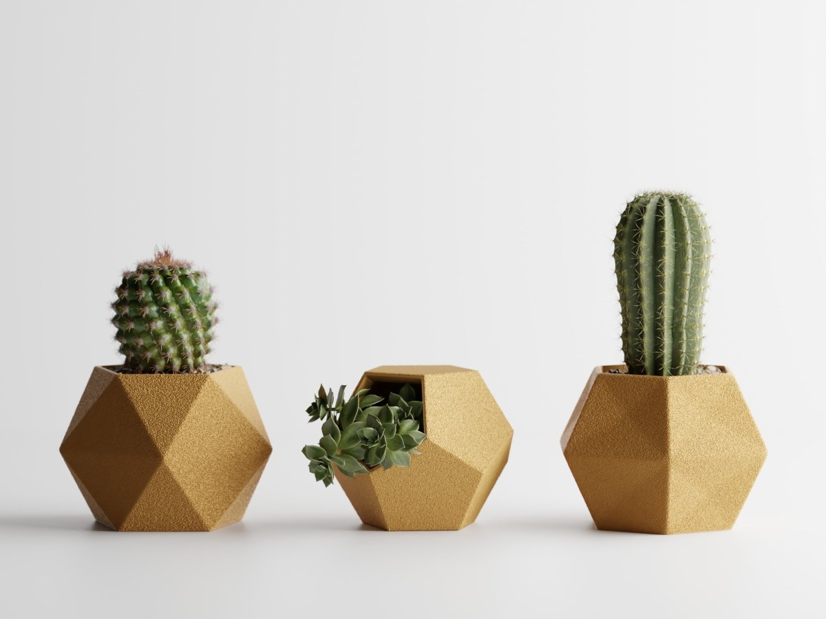 Geotrio – Geometrische Pflanzgefäße für Sukkulenten & Kakteen im 3er-Set