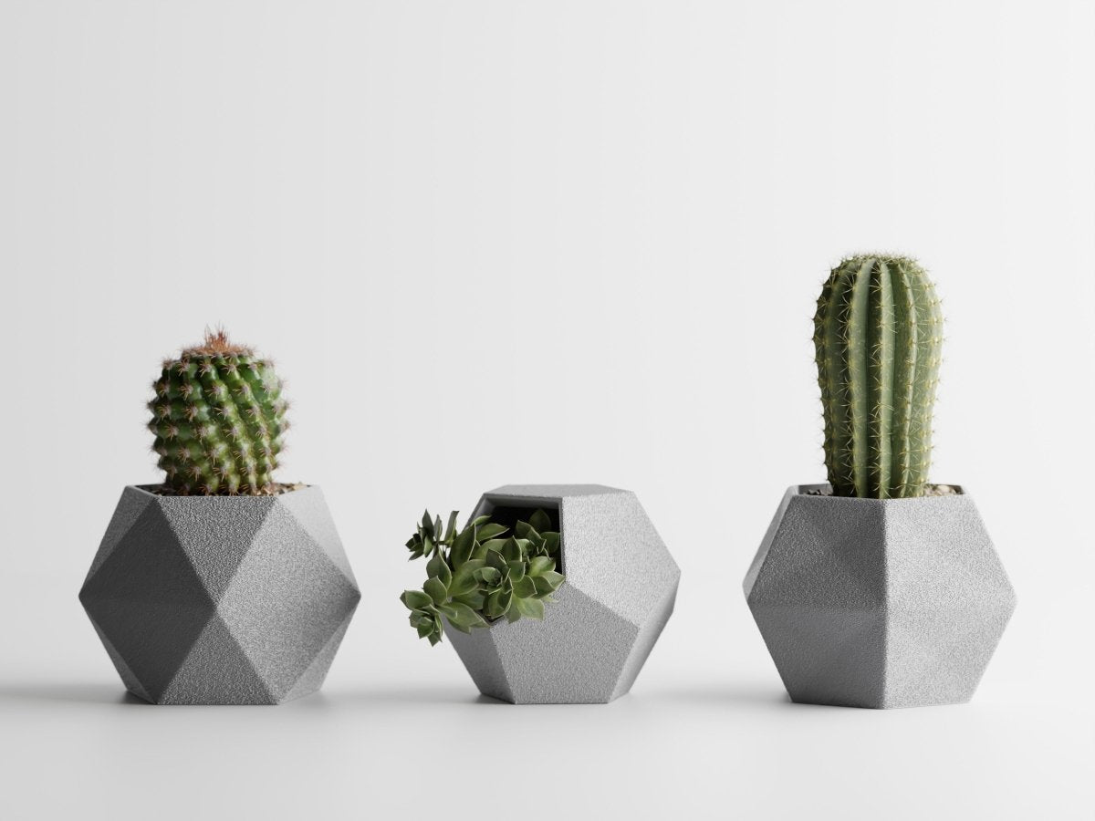 Geotrio – Geometrische Pflanzgefäße für Sukkulenten & Kakteen im 3er-Set