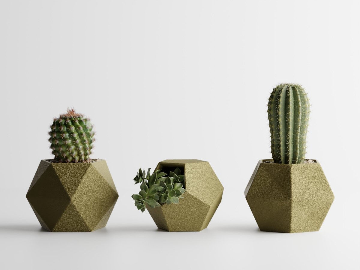 Geotrio – Geometrische Pflanzgefäße für Sukkulenten & Kakteen im 3er-Set