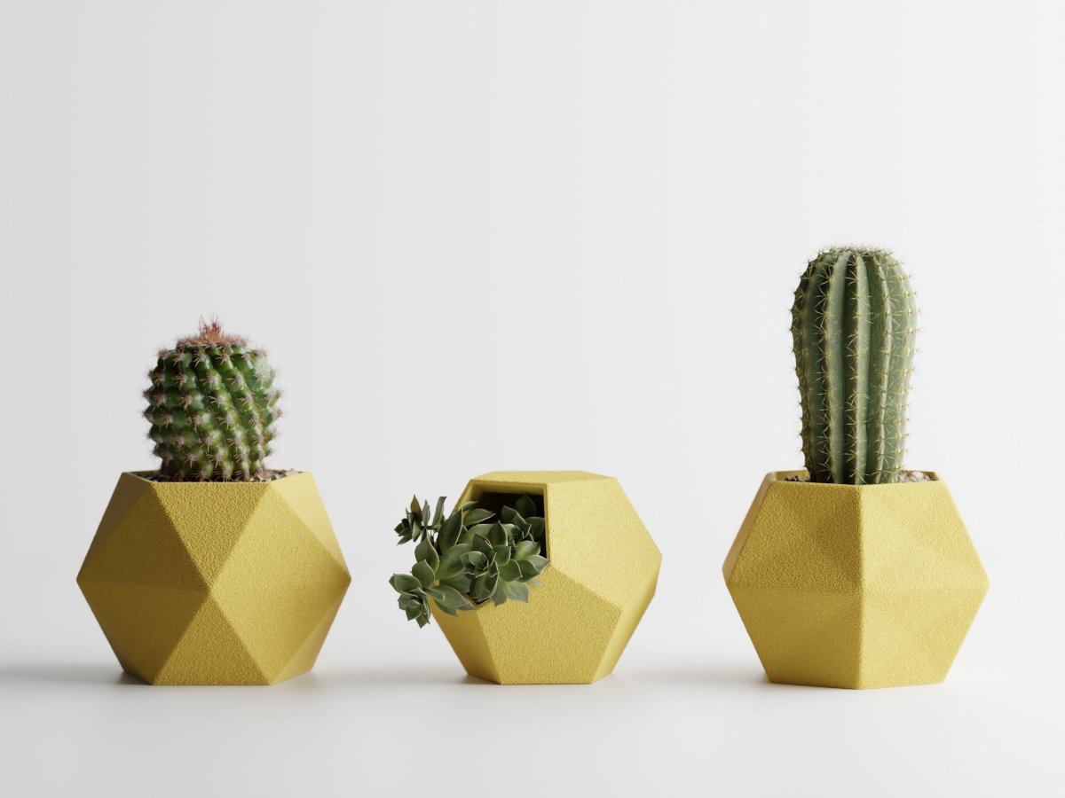 Geotrio – Geometrische Pflanzgefäße für Sukkulenten & Kakteen im 3er-Set