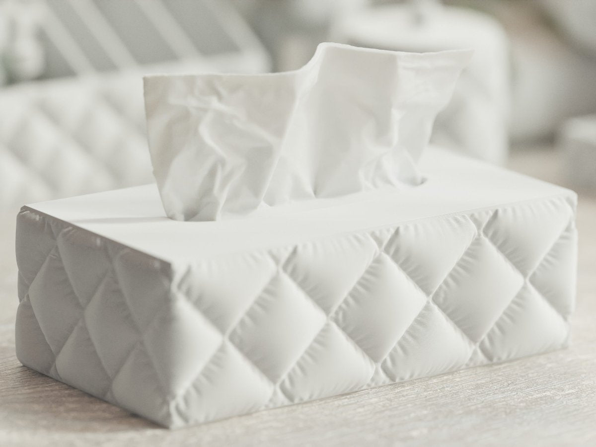 Cushion Tissue Box – Taschentuchbox im rechteckigen Kissen-Design