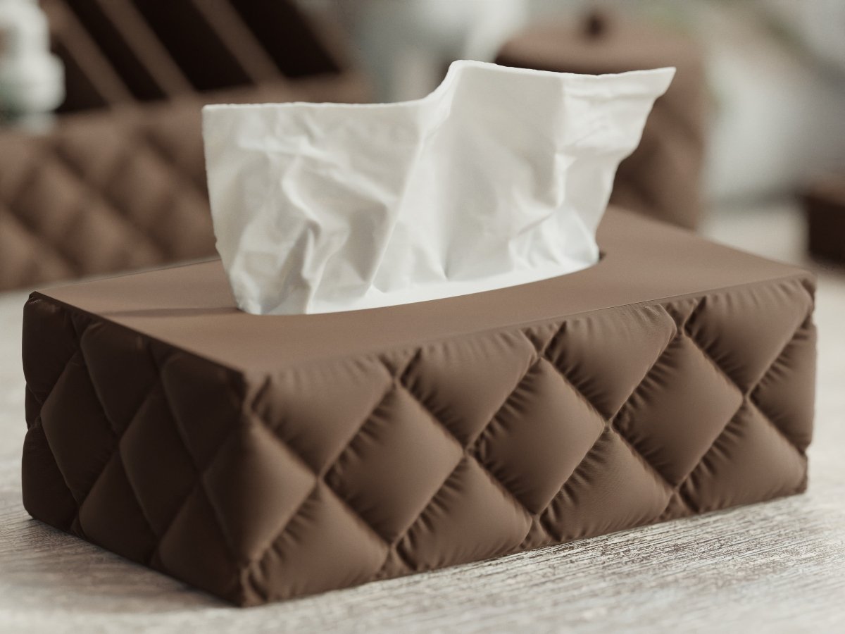 Cushion Tissue Box – Taschentuchbox im rechteckigen Kissen-Design