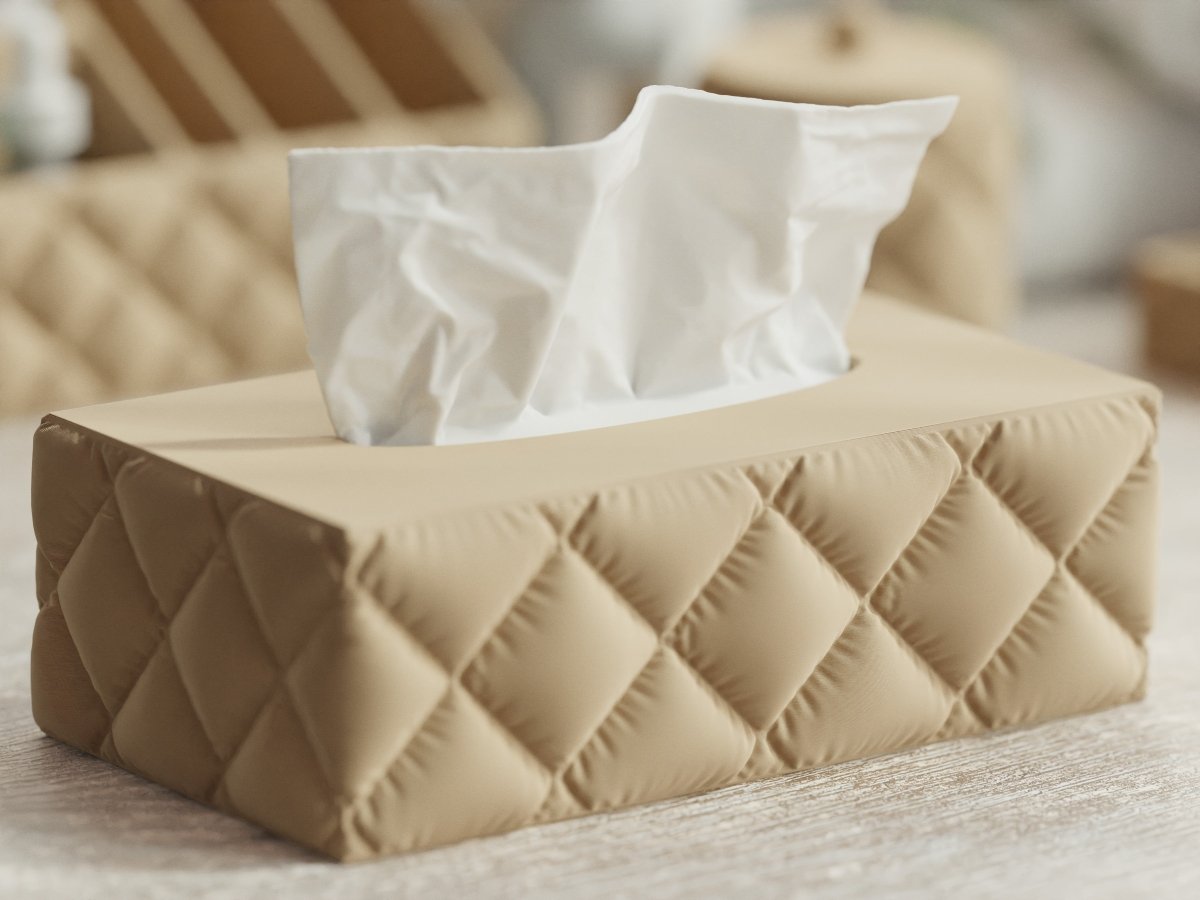 Cushion Tissue Box – Taschentuchbox im rechteckigen Kissen-Design
