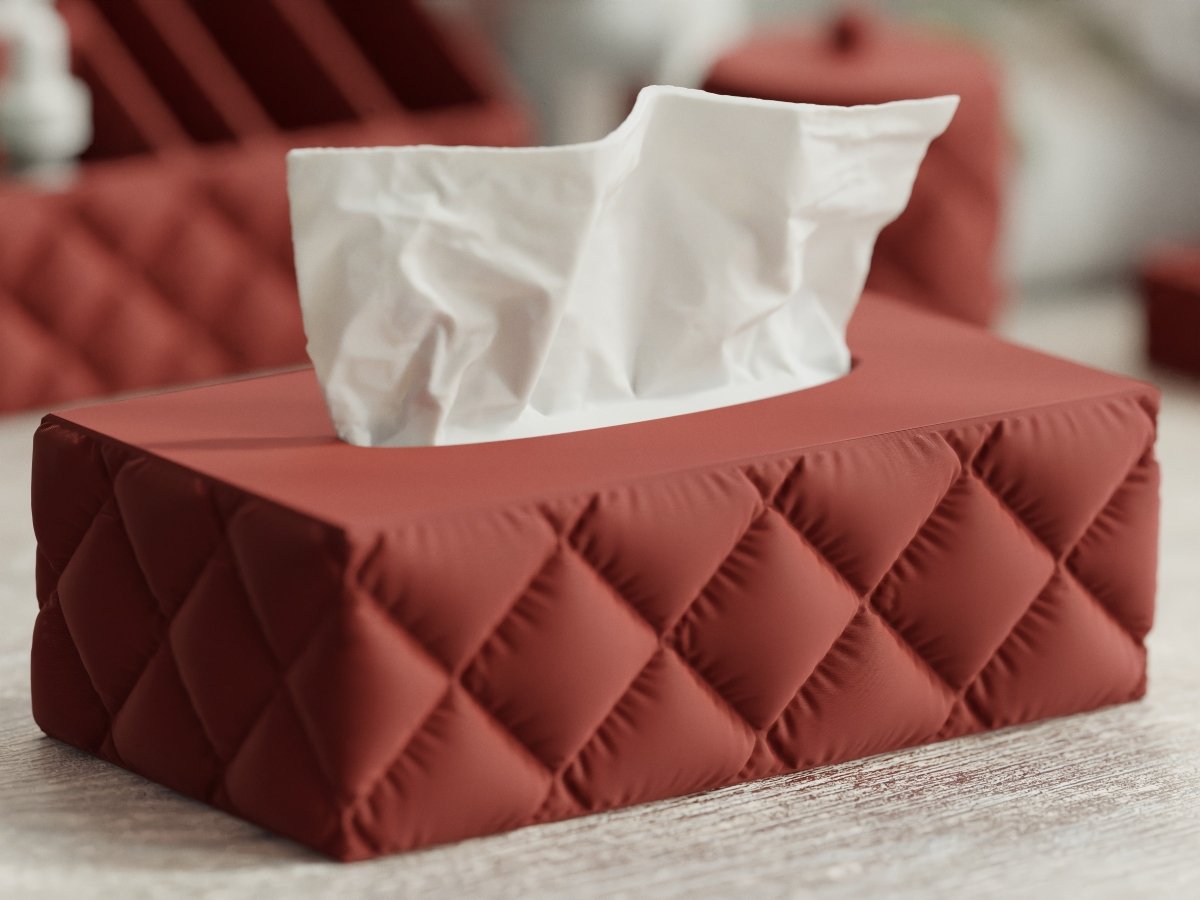 Cushion Tissue Box – Taschentuchbox im rechteckigen Kissen-Design