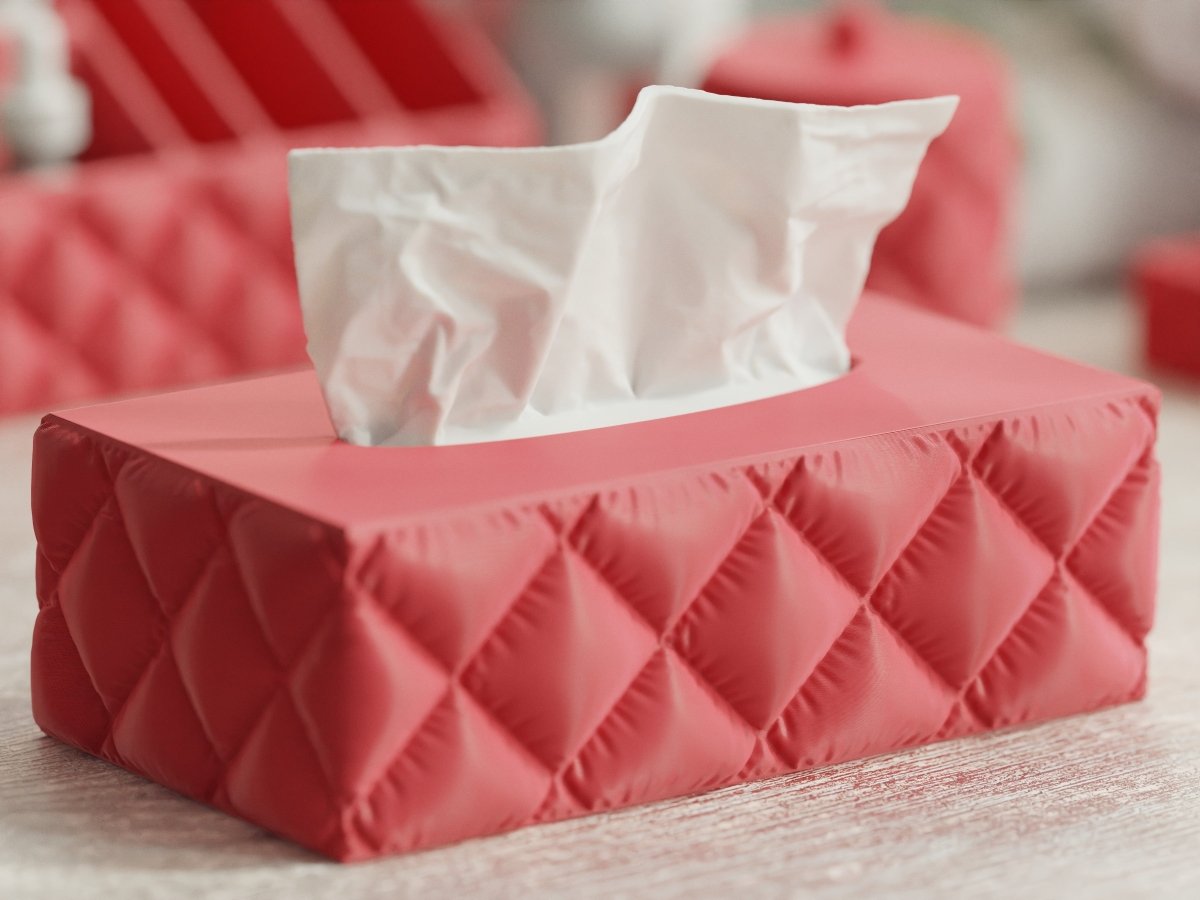 Cushion Tissue Box – Taschentuchbox im rechteckigen Kissen-Design