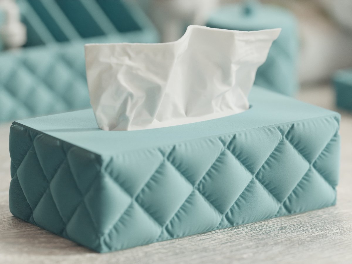 Cushion Tissue Box – Taschentuchbox im rechteckigen Kissen-Design