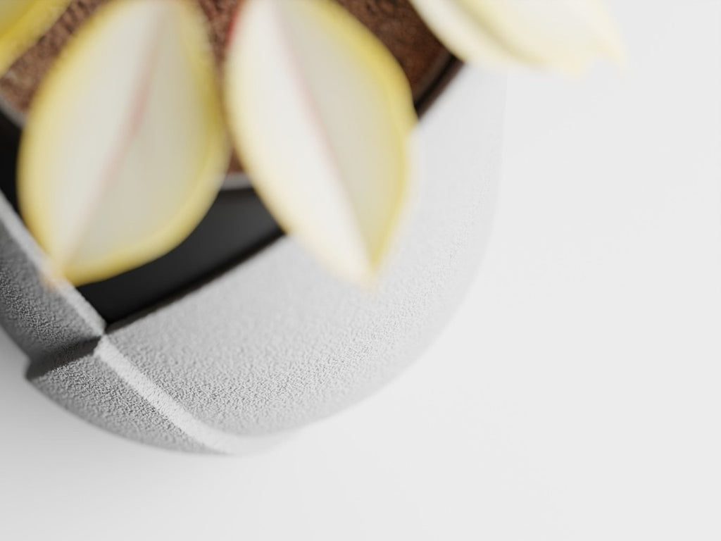 Elyndra – Strukturiertes Pflanzengefäß mit harmonischem Farbspiel